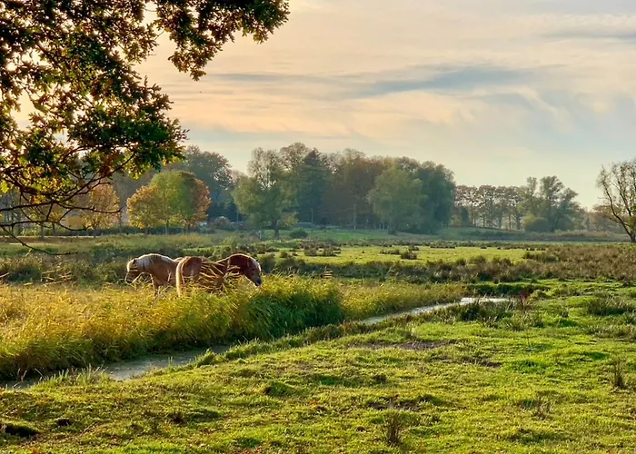 Ferienwohnungen Klein Kapelle